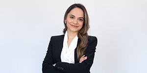 Servicios Profesionales